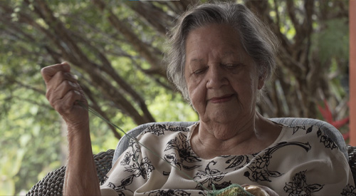 Dn. Antônia Zulma Bordando